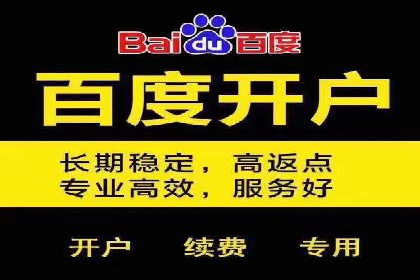 百度竞价广告在电商行业的应用及效果展示